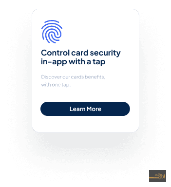 pages/controlcard.png